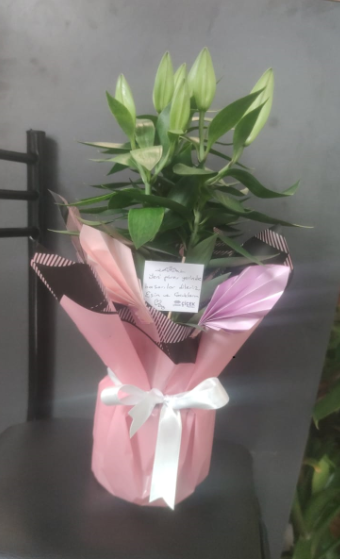 Darıca En Yakın Çiçekçi - Çiçek Model 4